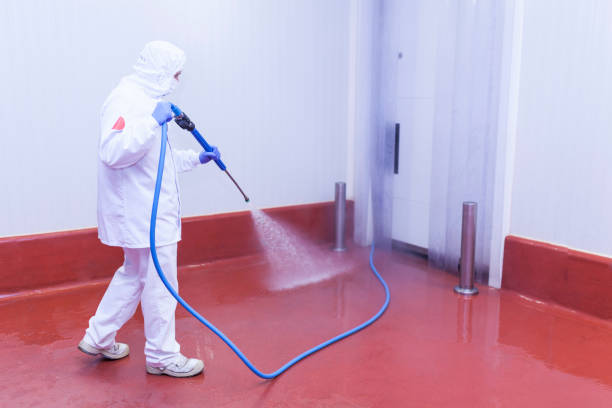 Best Dumpster Area Cleaning  in Buchanan Dam, TX